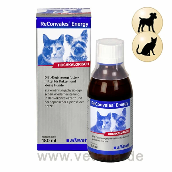 ReConvales Energy Katze & Hund