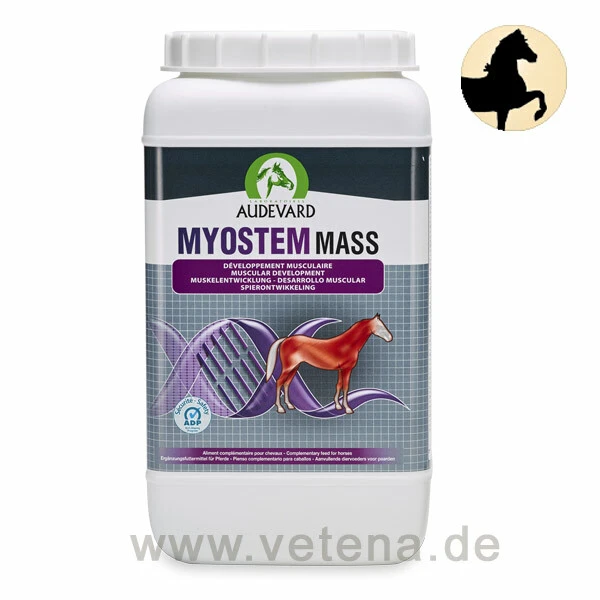 Audevard Myostem Mass Für Pferde