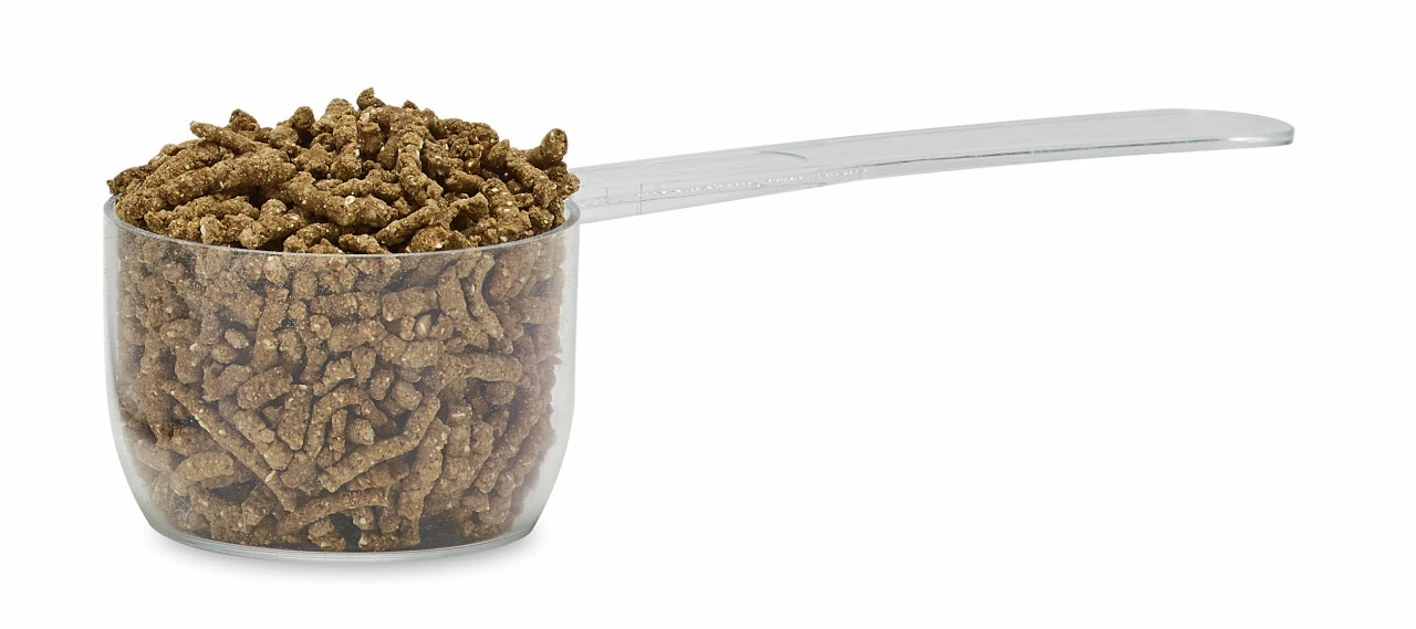 Audevard Myostem Mass Für Pferde – Bild 2