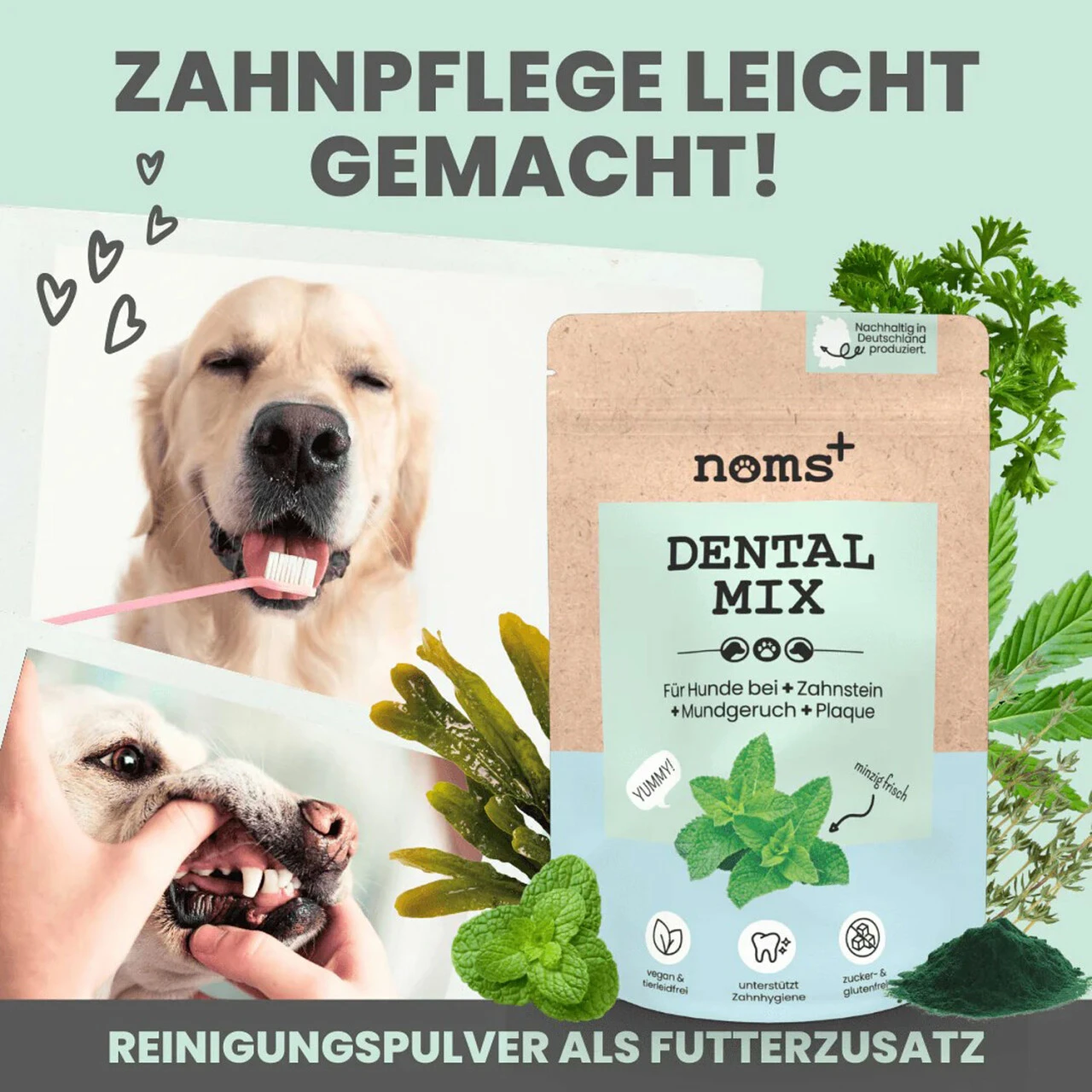 Noms+ Dentalmix Für Hunde – Bild 3