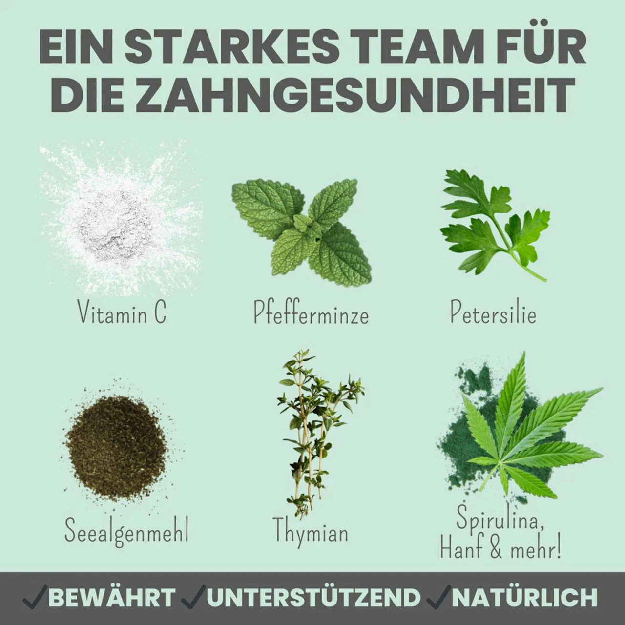 Noms+ Dentalmix Für Hunde – Bild 6