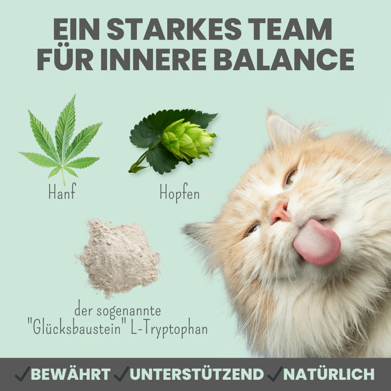 Noms+ Wohlfühlpaste Für Katzen – Bild 5