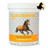 NutriLabs Glukosaminol Equin