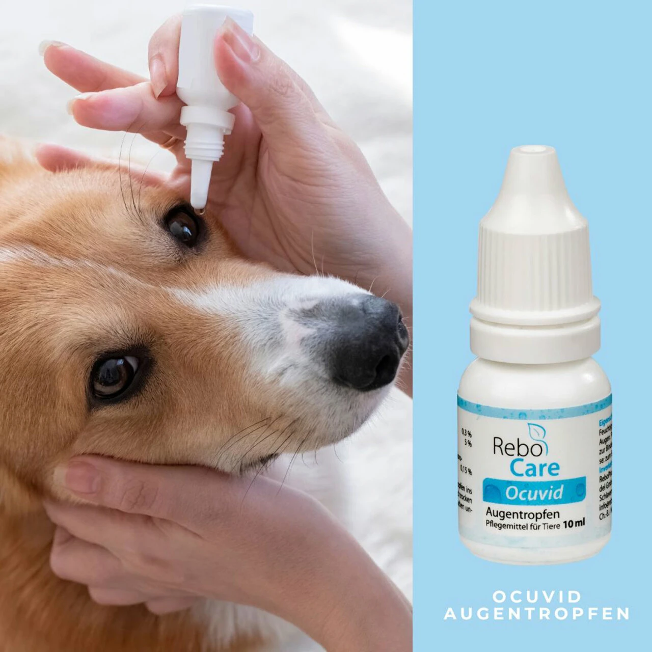 ReboCare Ocuvid Augentropfen Für Tiere – Bild 4