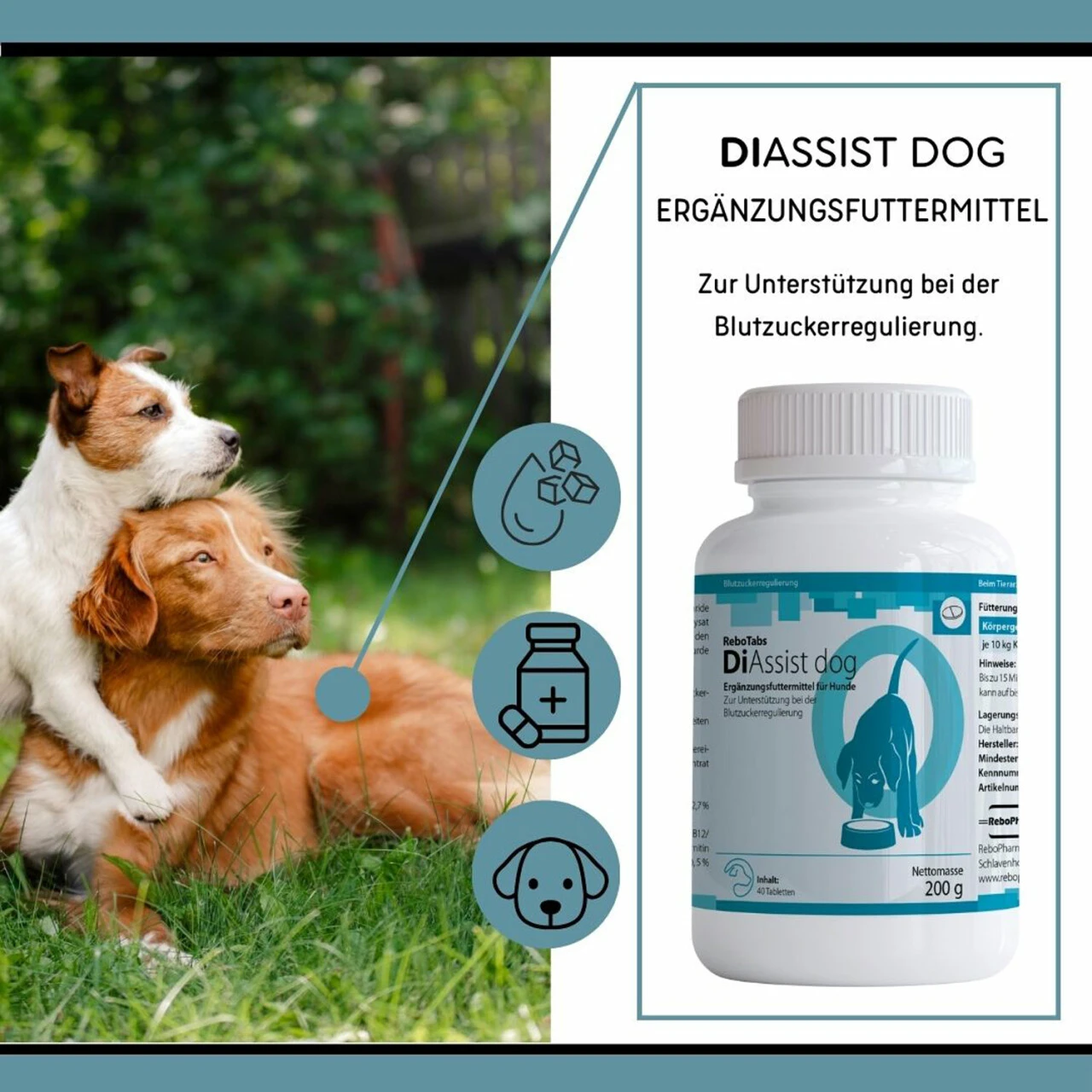 ReboTabs DiAssist Dog Für Hunde – Bild 3