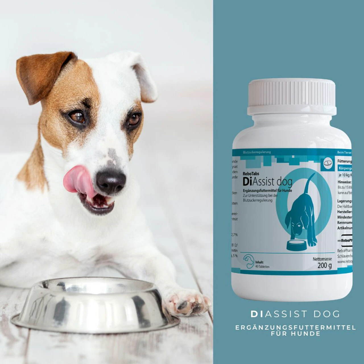 ReboTabs DiAssist Dog Für Hunde – Bild 4
