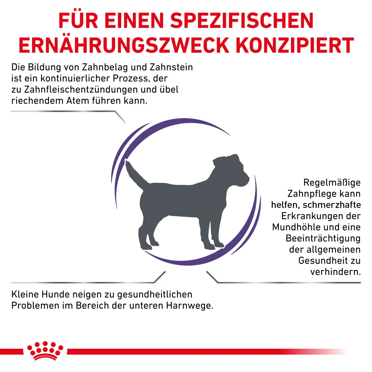 Royal Canin Expert Dental Small Dogs Trockenfutter Für Hunde – Bild 3