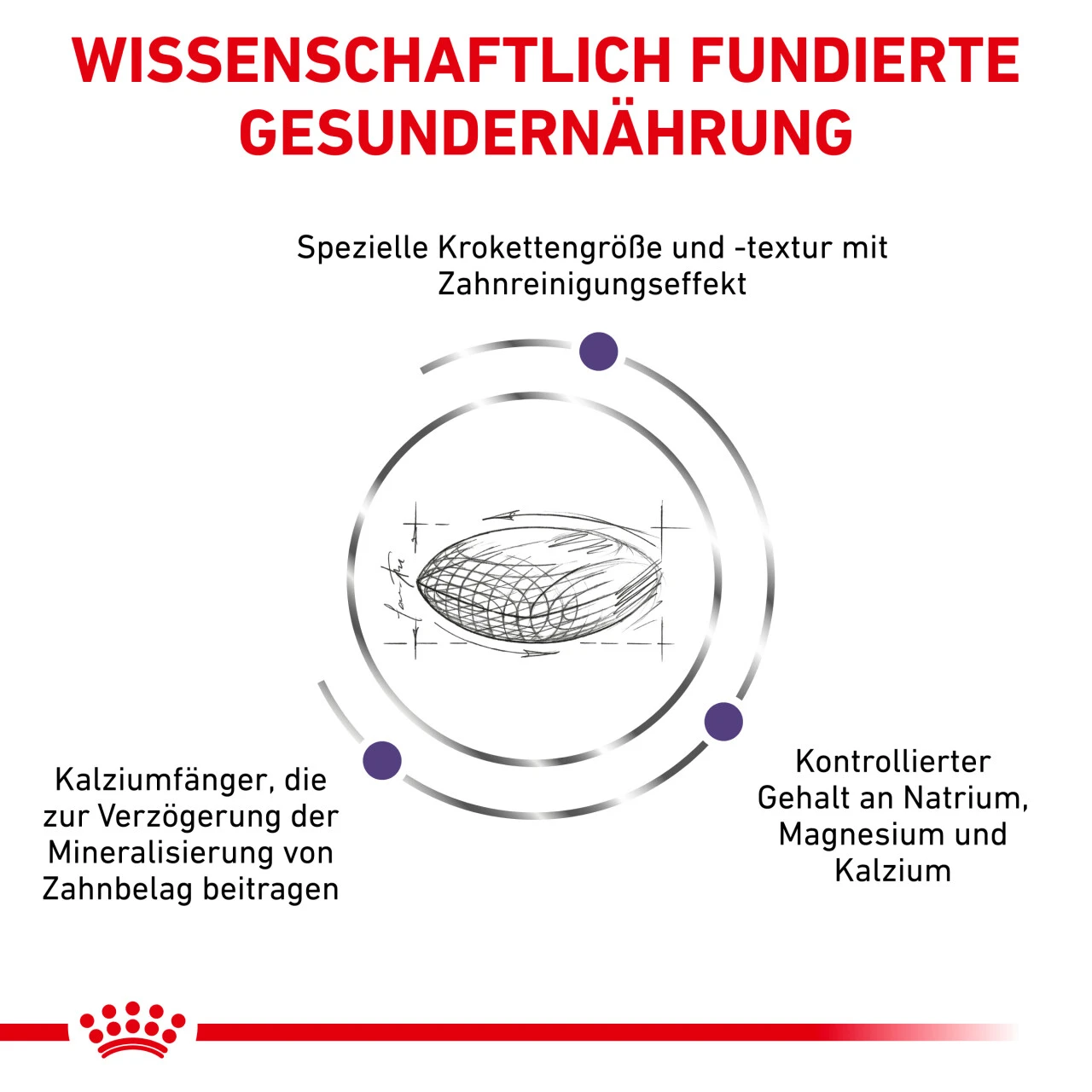 Royal Canin Expert Dental Small Dogs Trockenfutter Für Hunde – Bild 4