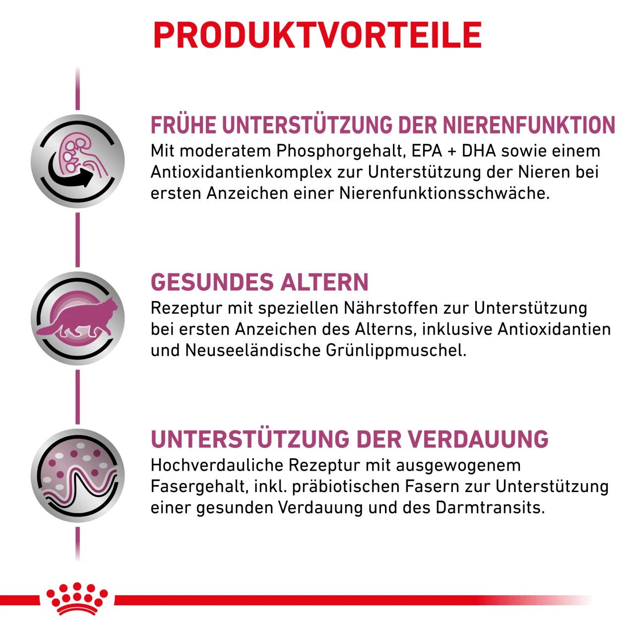 Royal Canin Early Renal Trockenfutter Für Katzen – Bild 2