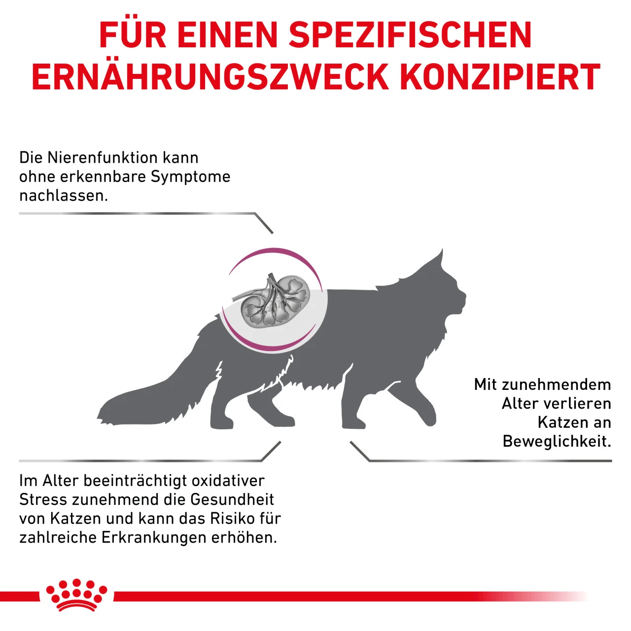 Royal Canin Early Renal Trockenfutter Für Katzen – Bild 5