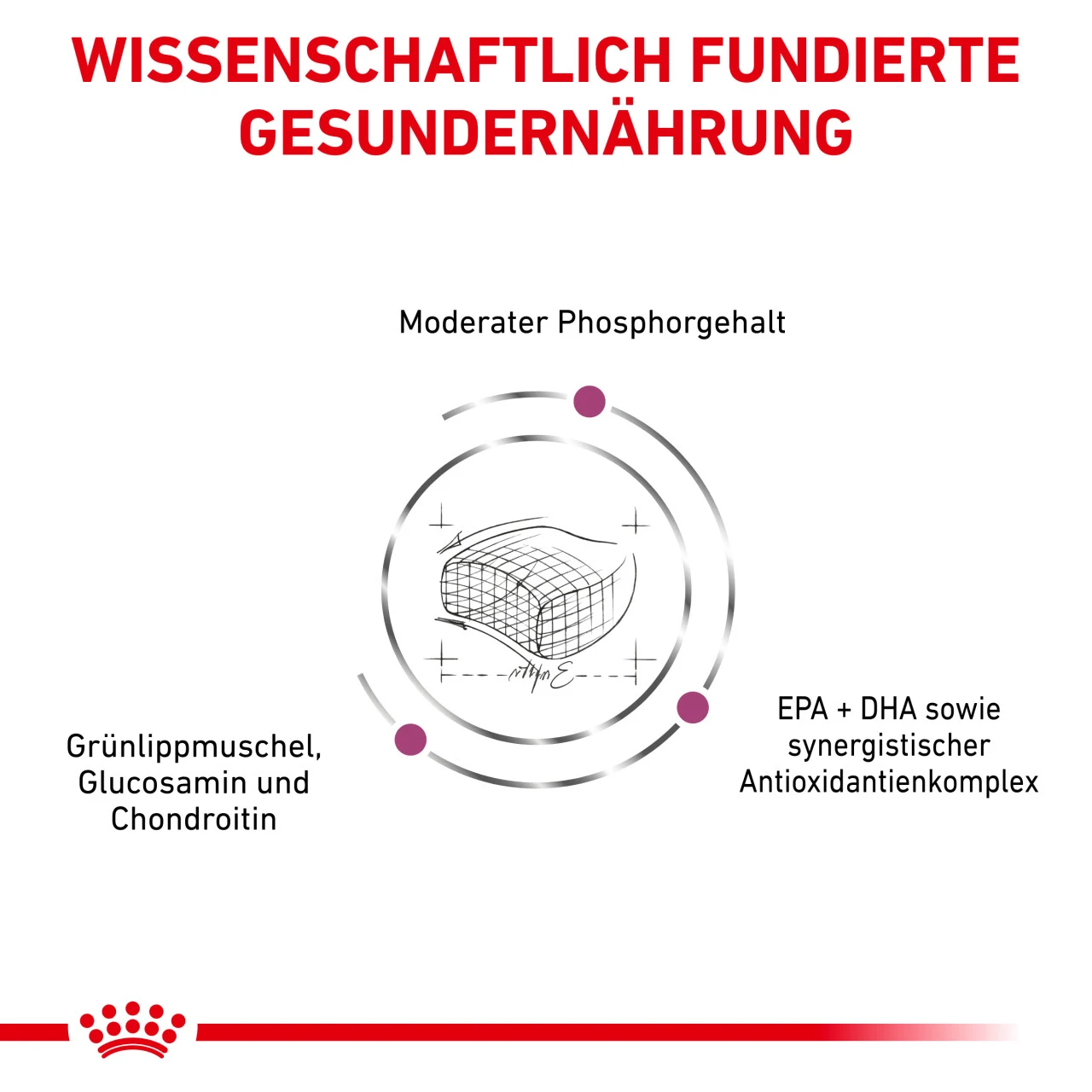 Royal Canin Early Renal Trockenfutter Für Katzen – Bild 6