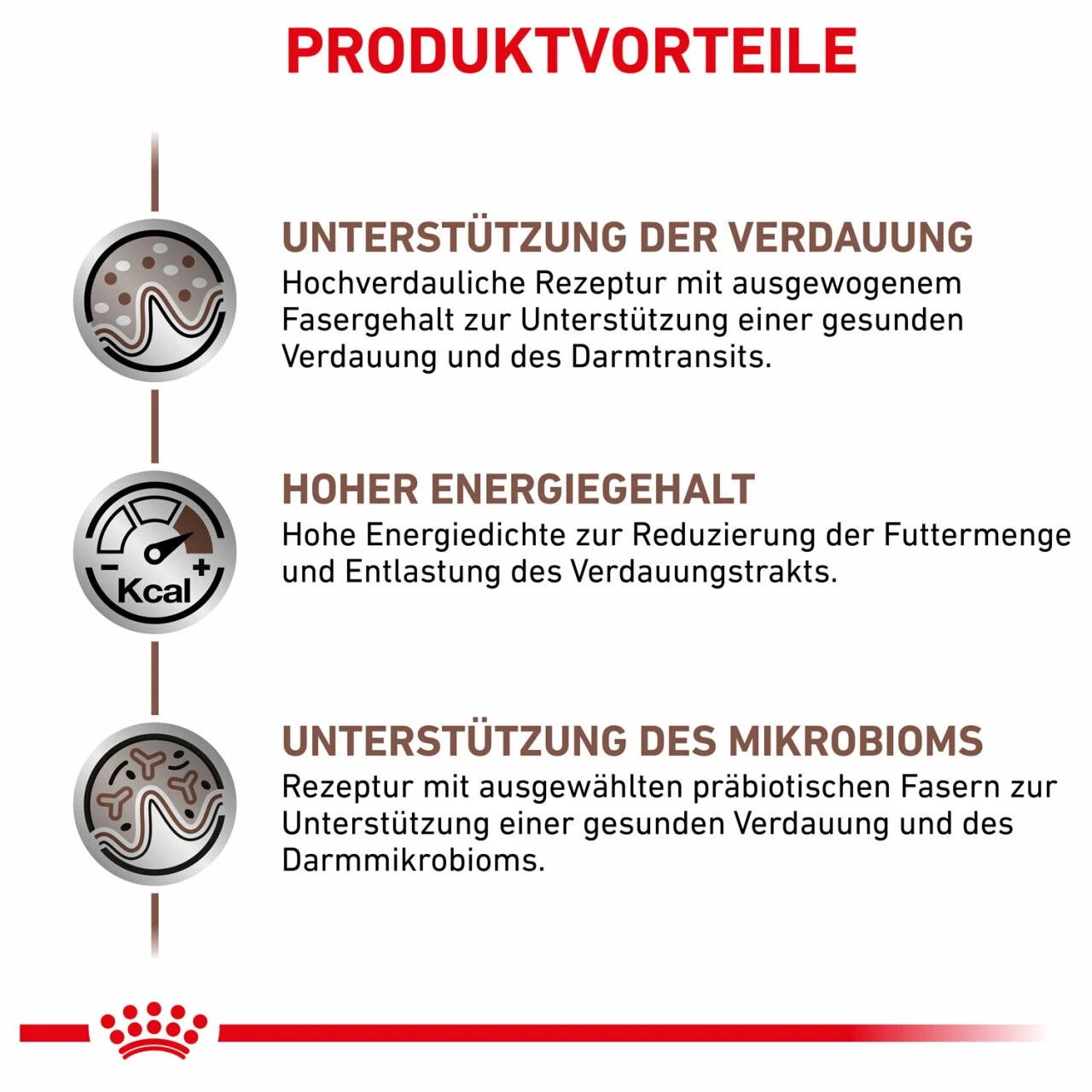Sparpaket Royal Canin Gastrointestinal Für Katzen – Bild 2