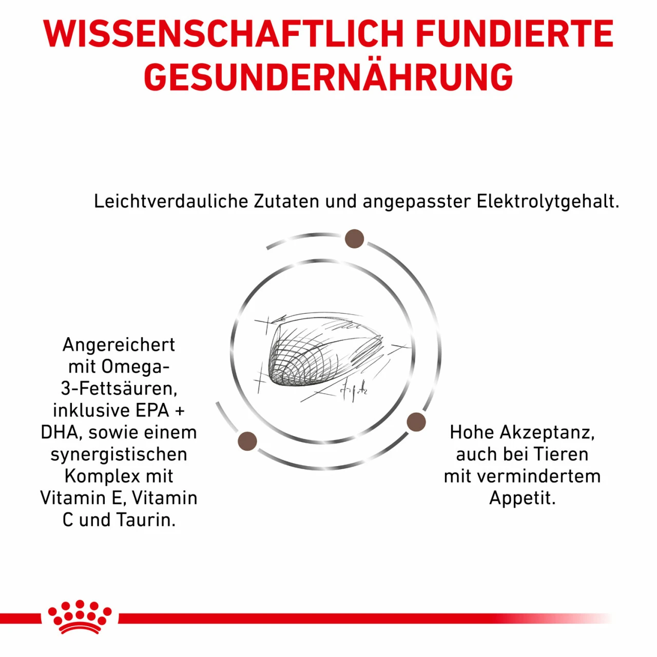 Sparpaket Royal Canin Gastrointestinal Für Katzen – Bild 4