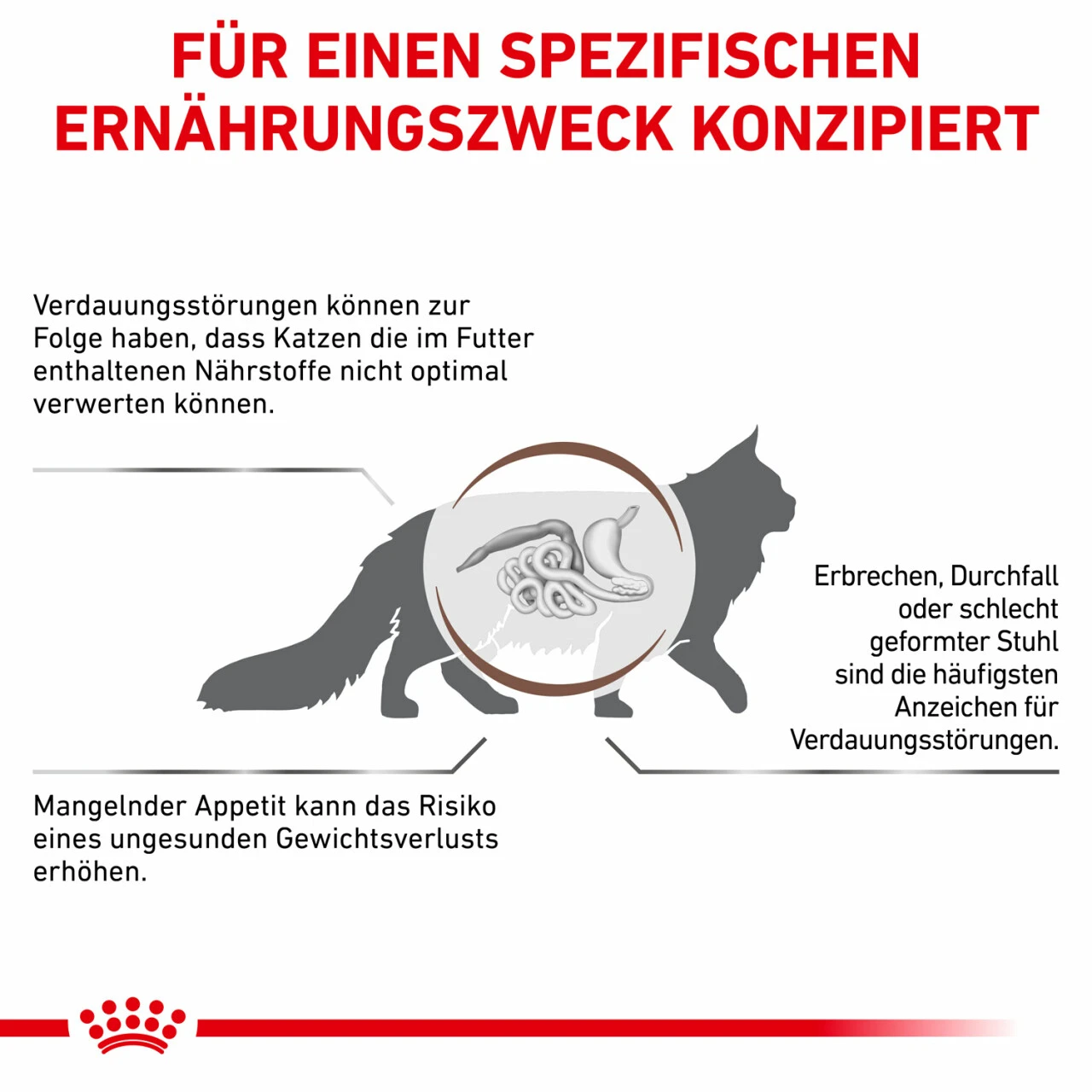 Sparpaket Royal Canin Gastrointestinal Für Katzen – Bild 5
