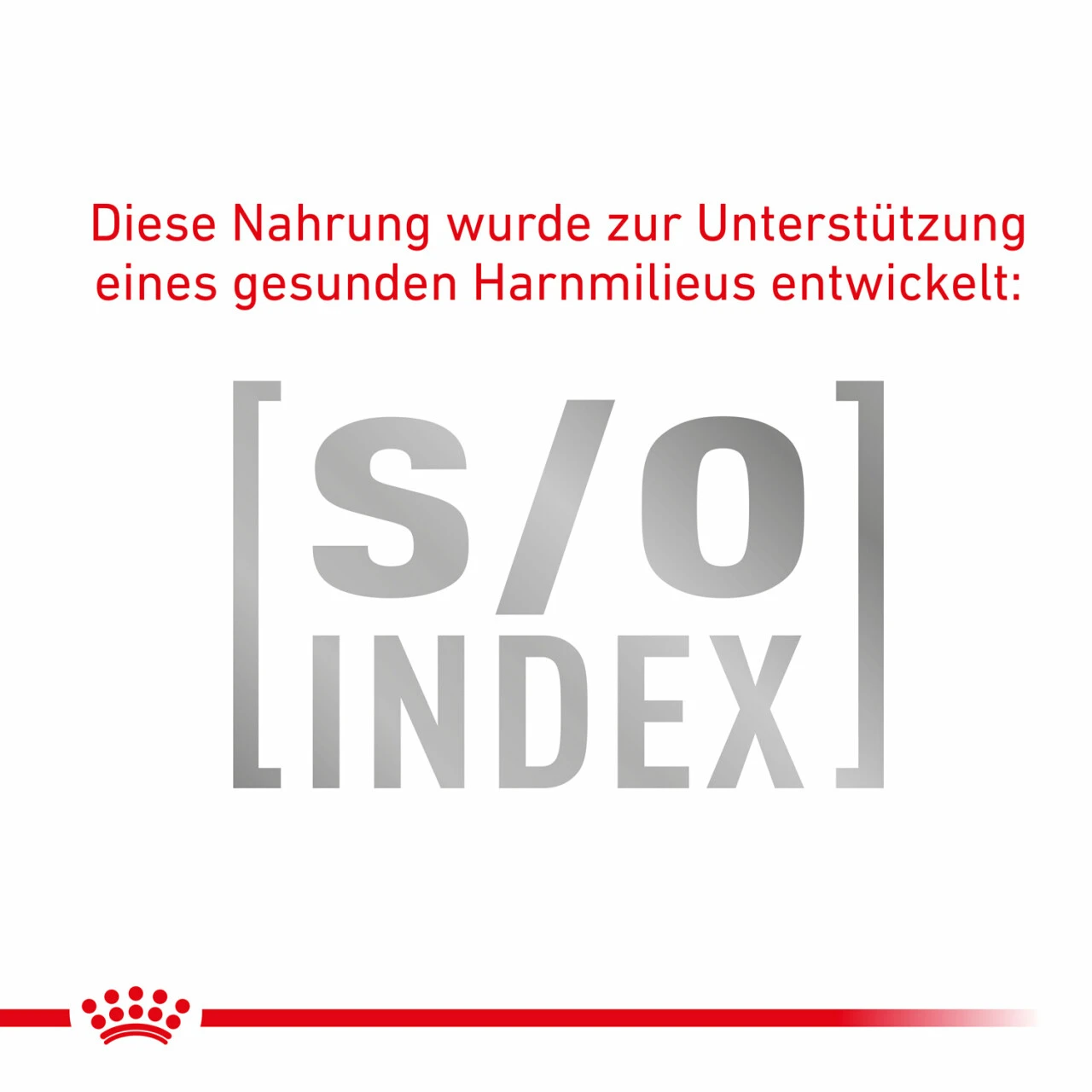 Sparpaket Royal Canin Gastrointestinal Für Katzen – Bild 6