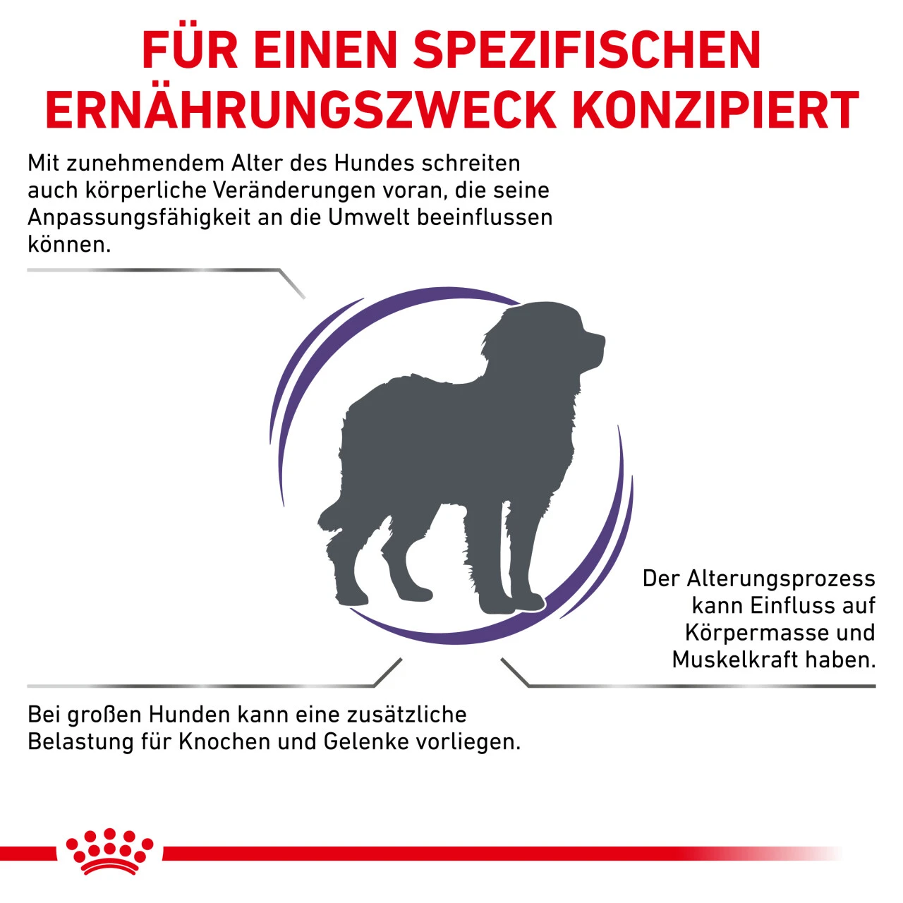Royal Canin Expert Mature Consult Large Dogs Trockenfutter Für Hunde – Bild 2