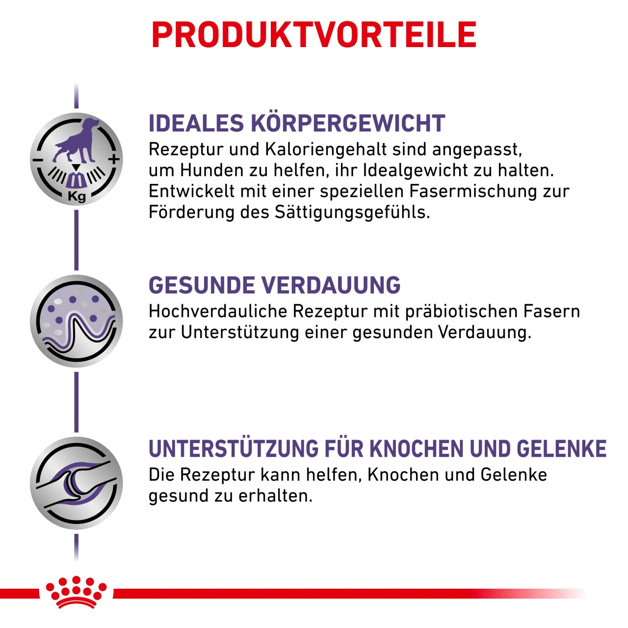 Royal Canin Expert Mature Consult Large Dogs Trockenfutter Für Hunde – Bild 4