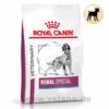Royal Canin Renal Special Trockenfutter Hund