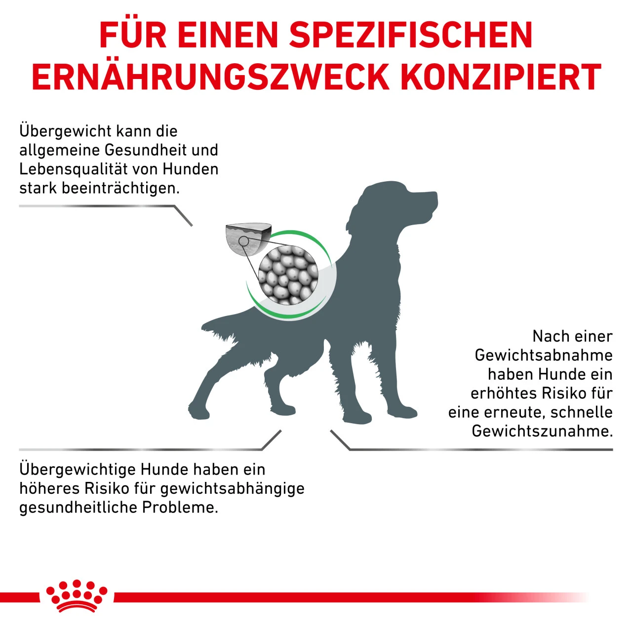 Royal Canin Satiety Weight Management Trockenfutter Für Hunde – Bild 4