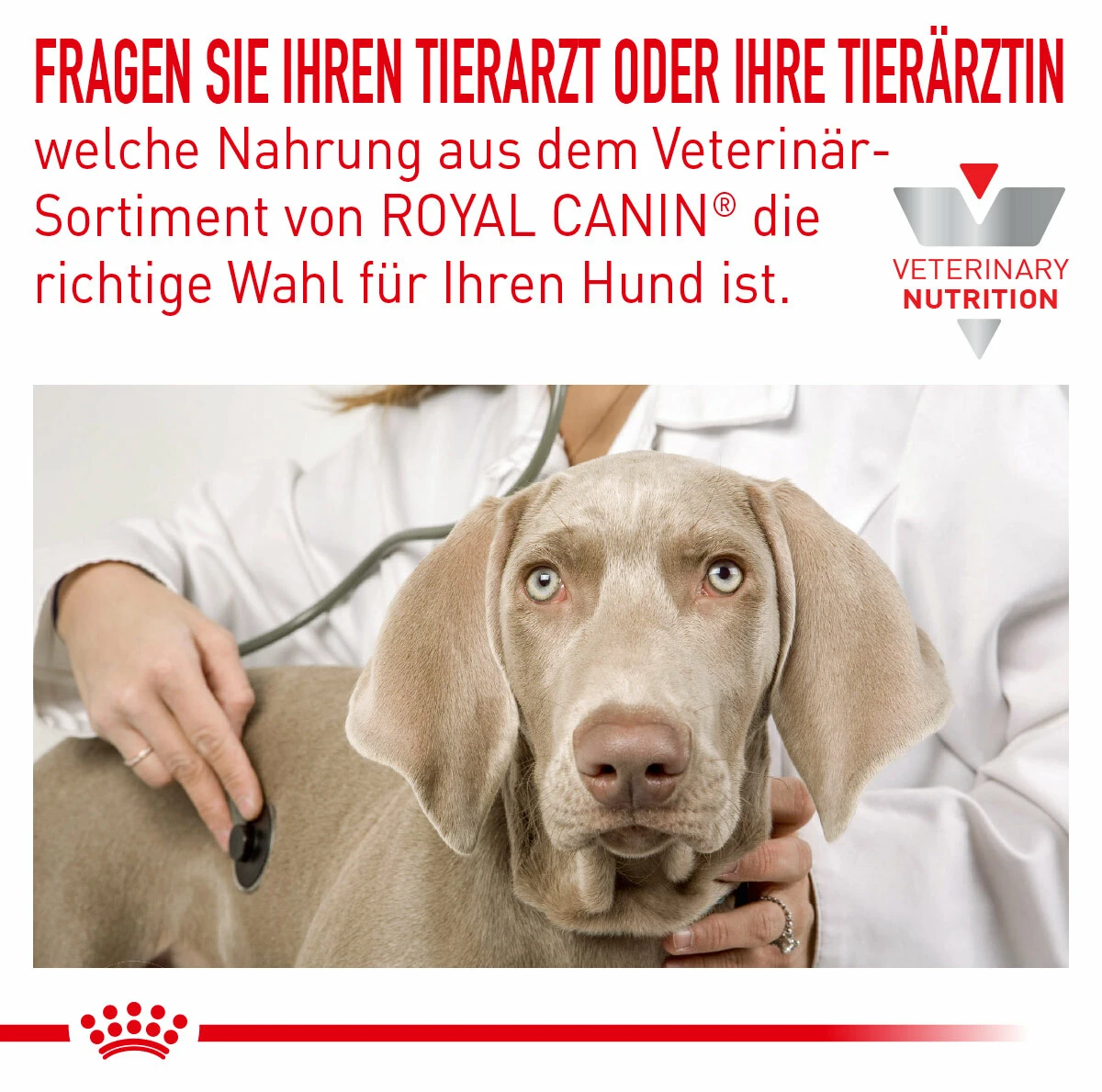 Royal Canin Sensitivity Control Nassfutter Für Hunde – Bild 2