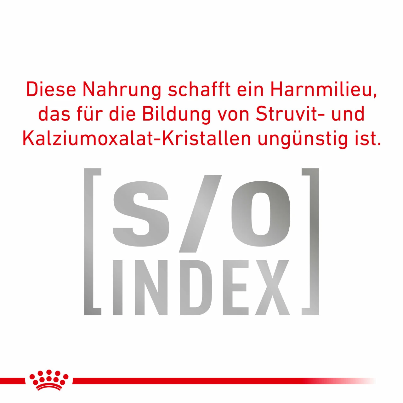 Royal Canin Sensitivity Control Nassfutter Für Hunde – Bild 5