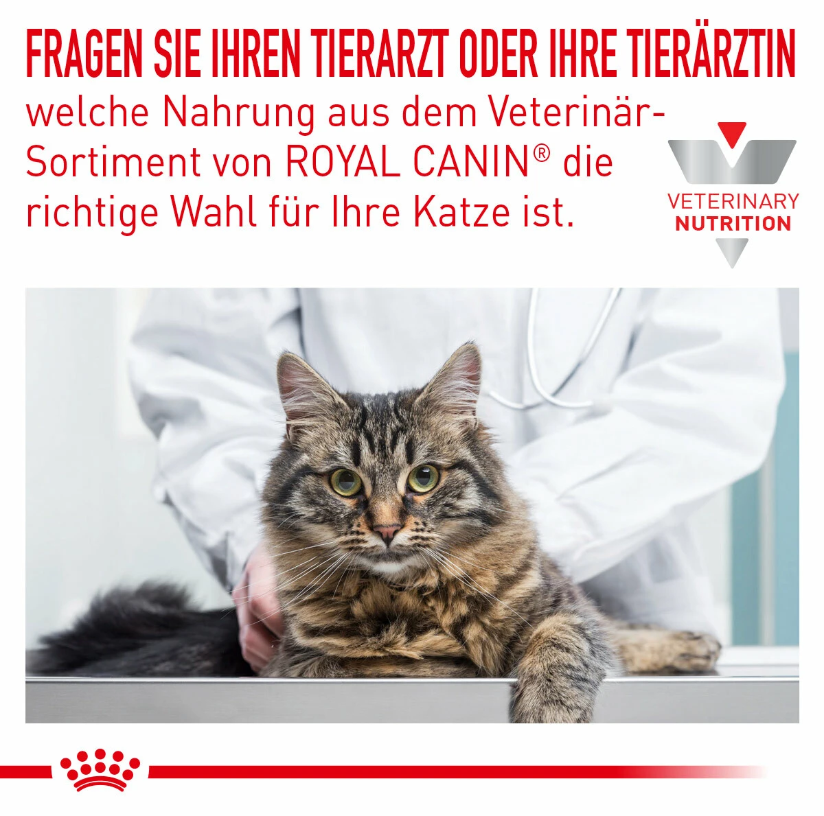 Royal Canin Sensitivity Control Trockenfutter Für Katzen – Bild 2