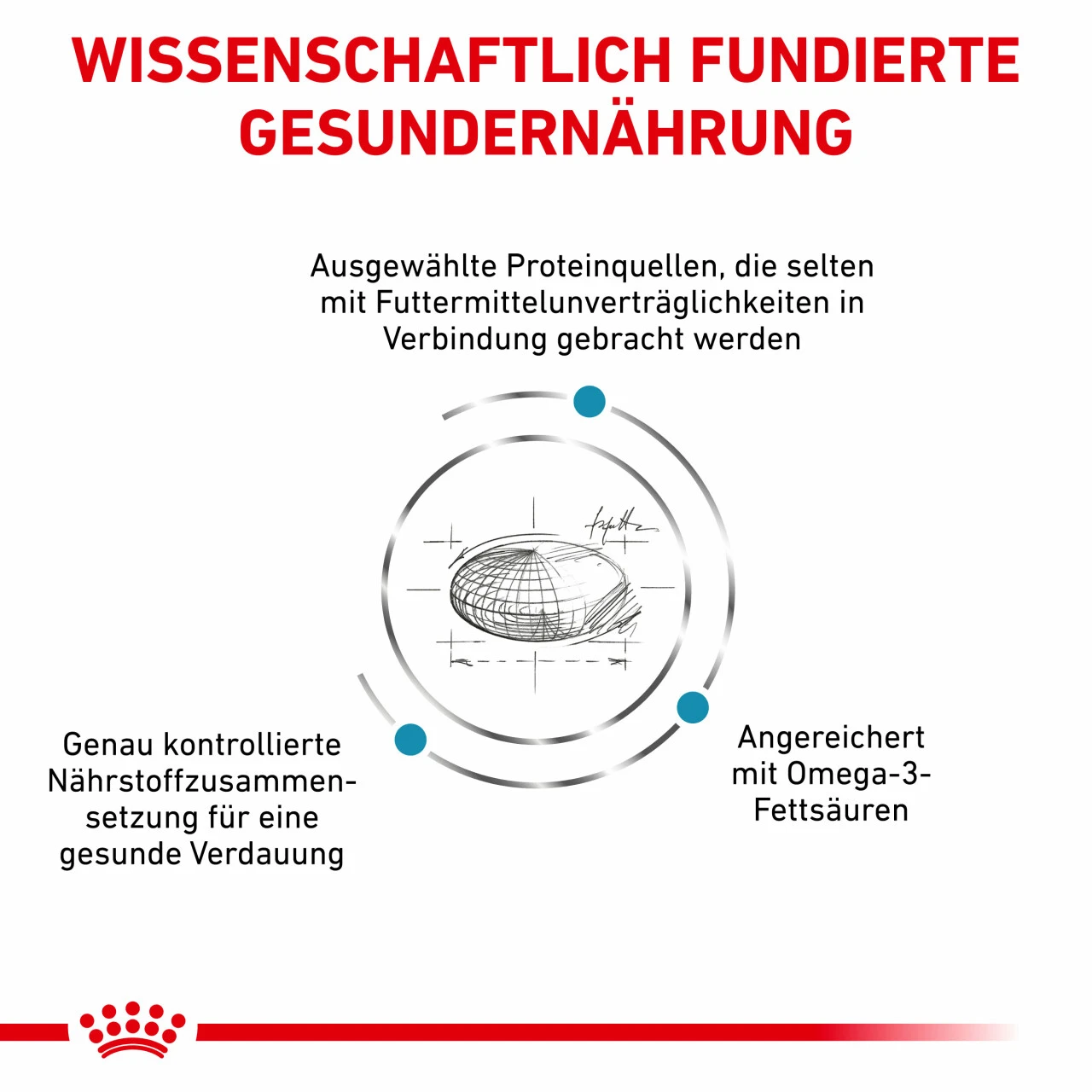 Royal Canin Sensitivity Control Trockenfutter Für Katzen – Bild 3