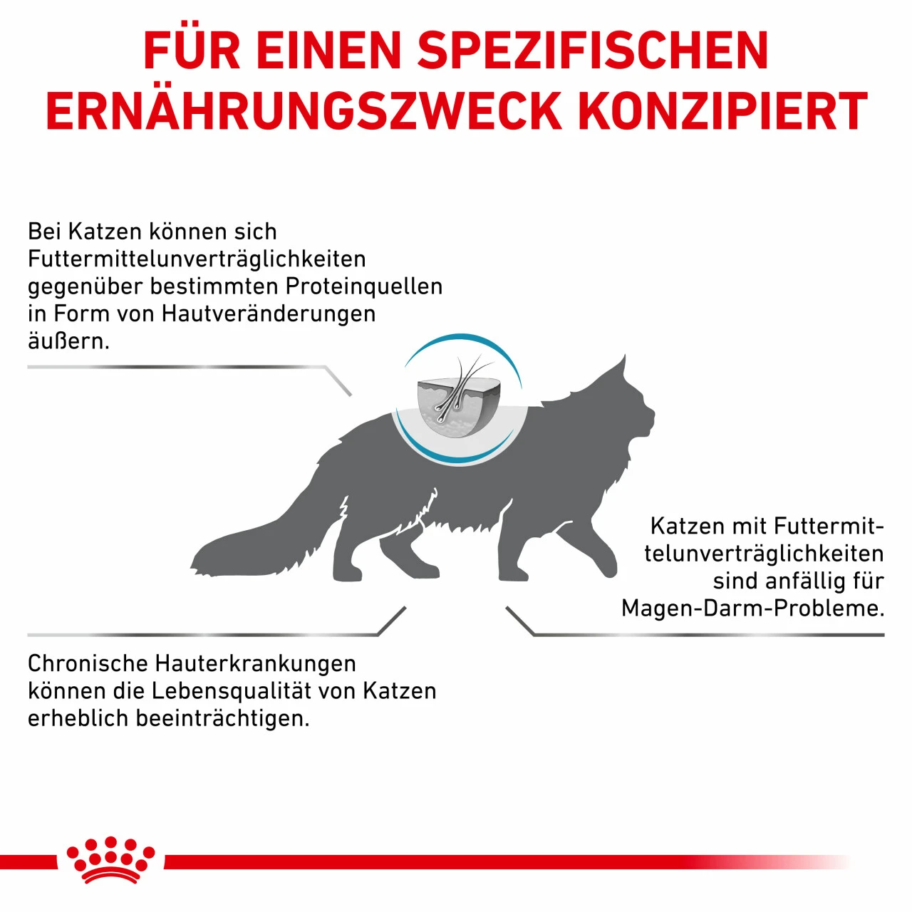Royal Canin Sensitivity Control Trockenfutter Für Katzen – Bild 8