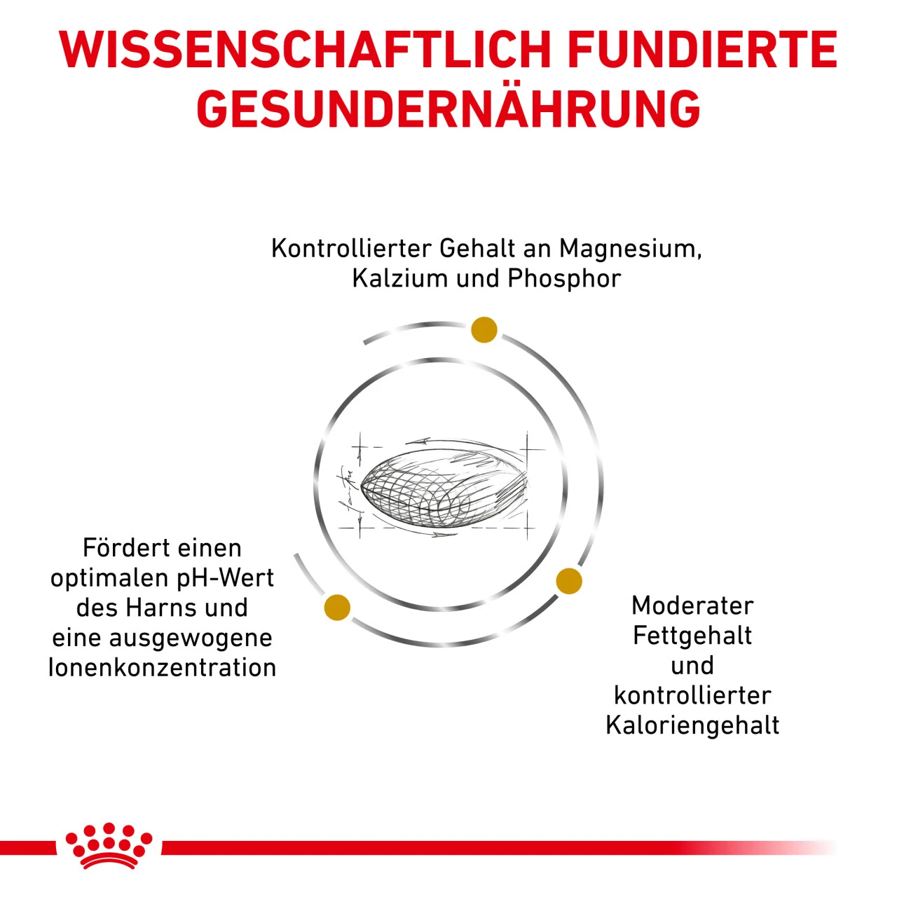 Royal Canin Urinary S/O Moderate Calorie Trockenfutter Für Hunde – Bild 4