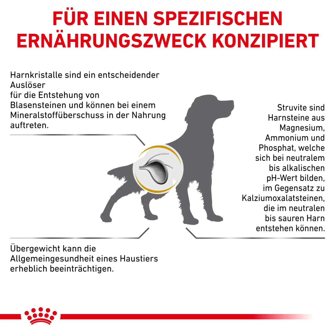 Royal Canin Urinary S/O Moderate Calorie Trockenfutter Für Hunde – Bild 5