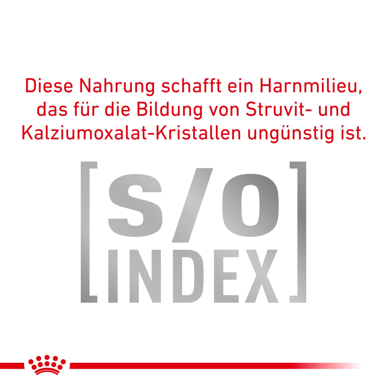 Royal Canin Urinary S/O Moderate Calorie Trockenfutter Für Hunde – Bild 6