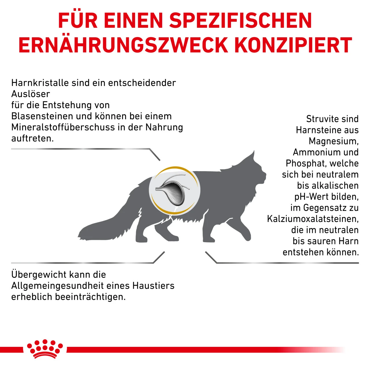 Royal Canin Urinary S/O Moderate Calorie Trockenfutter Für Katzen – Bild 4