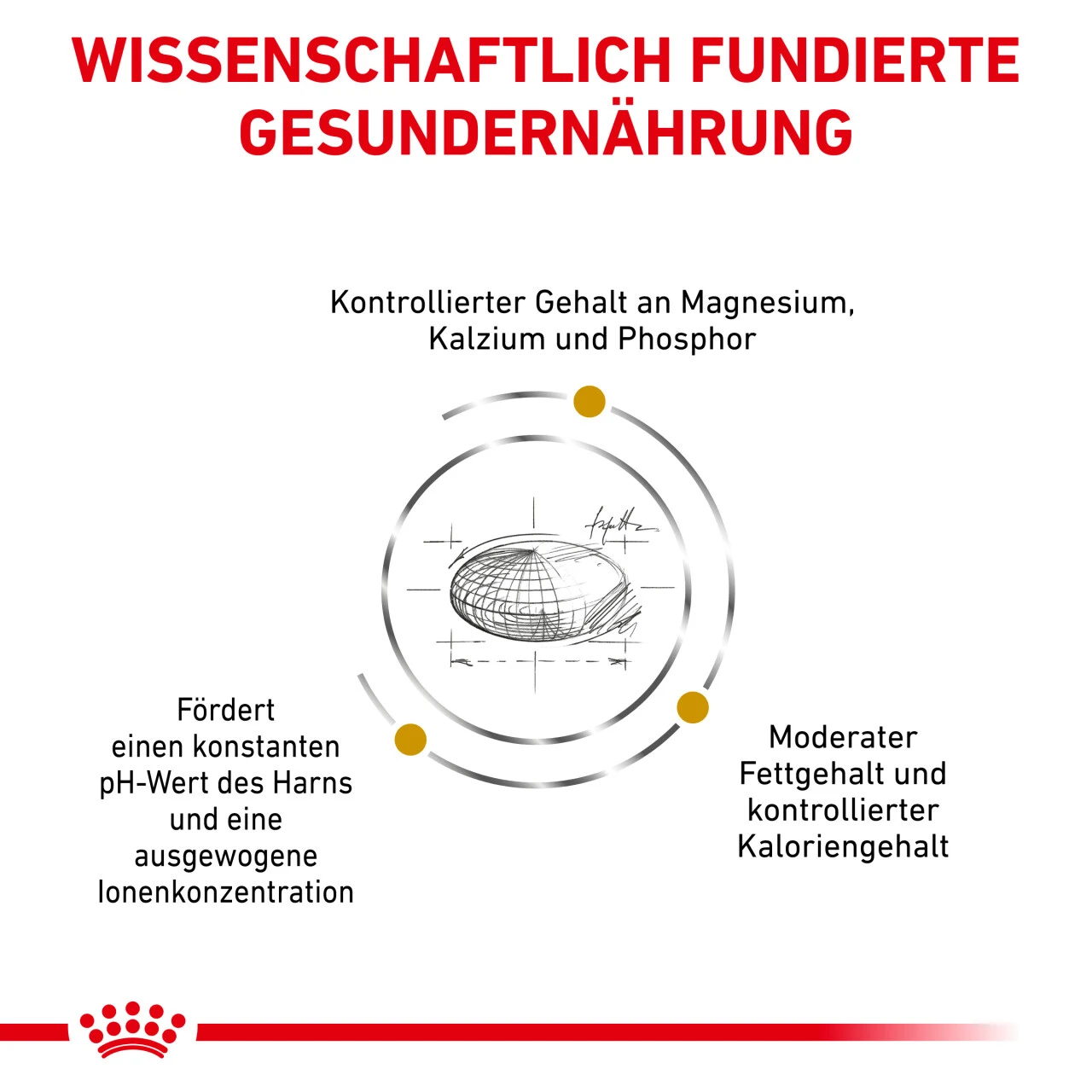 Royal Canin Urinary S/O Moderate Calorie Trockenfutter Für Katzen – Bild 5