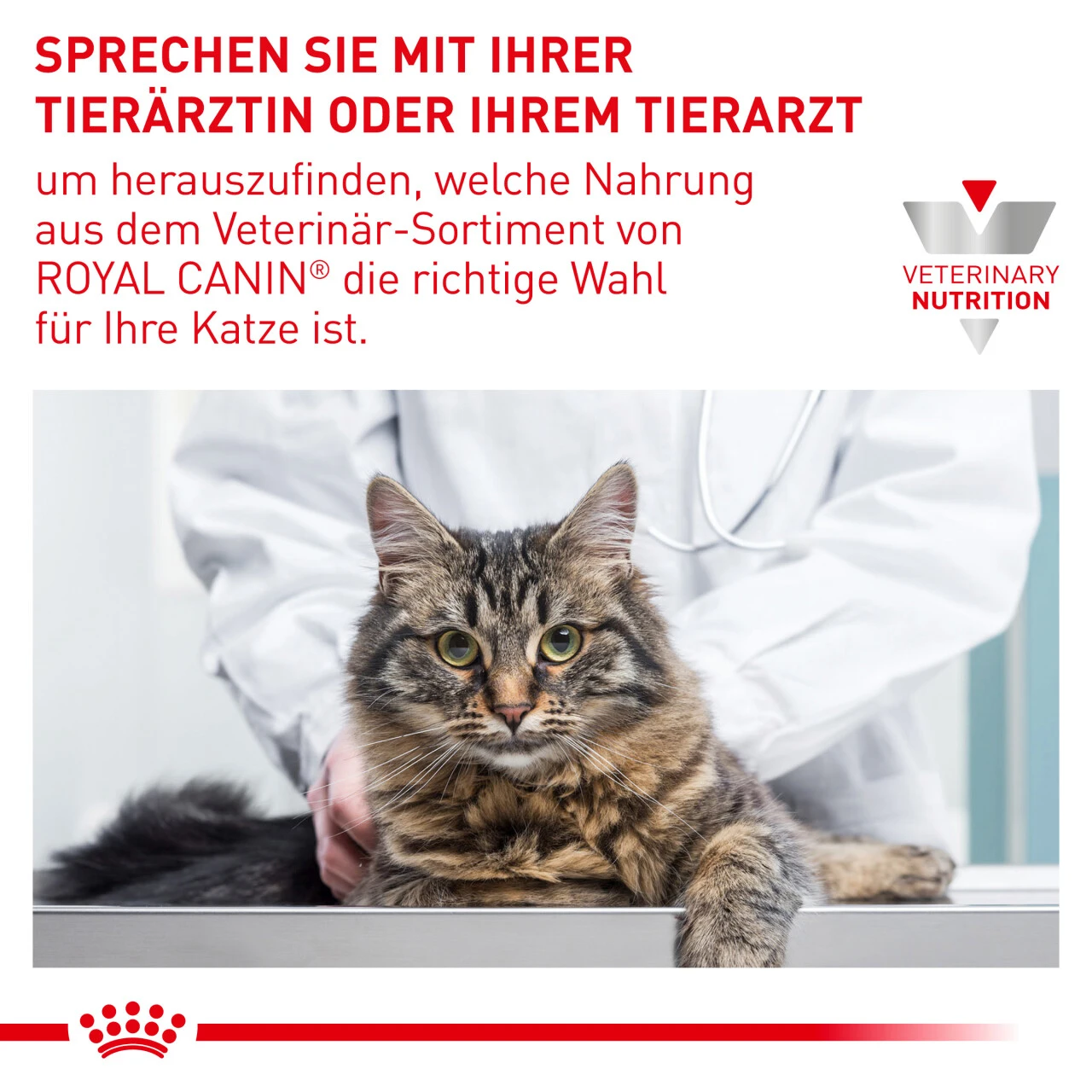 Royal Canin Urinary S/O Moderate Calorie Trockenfutter Für Katzen – Bild 8
