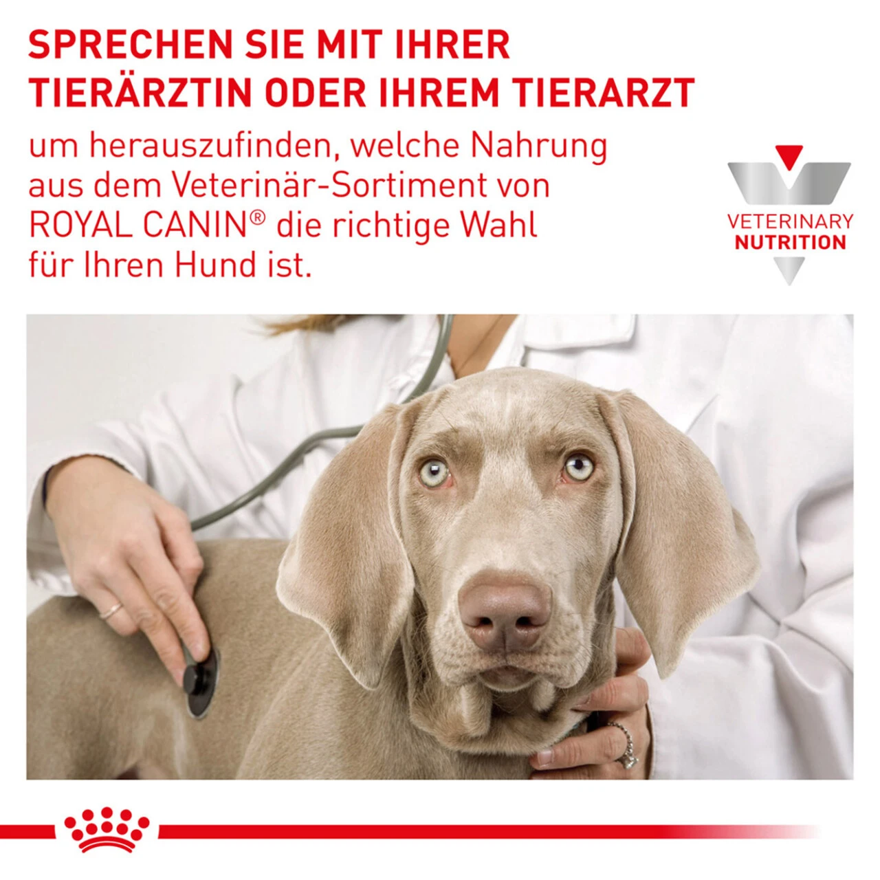 Royal Canin Urinary U/C Trockenfutter Für Hunde – Bild 6