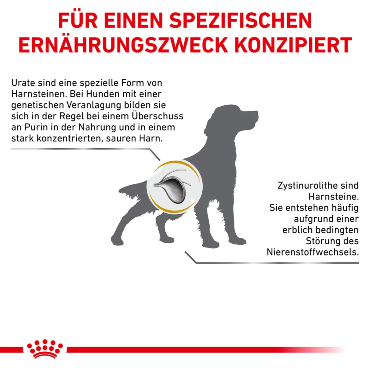 Royal Canin Urinary U/C Trockenfutter Für Hunde – Bild 7