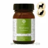 Kraftpilze Cordyceps - Vitalpilzpulver Für Hunde & Katzen
